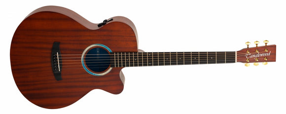 Tanglewood Elemental TE4CEBL