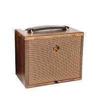 Kinsman KAA25 Acoustic Amp