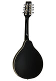 Tanglewood TWM T BKP E Mandolin