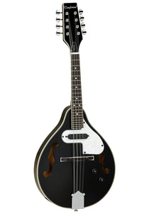 Tanglewood TWM T BKP E Mandolin